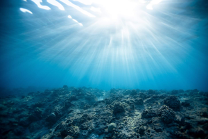 DEEP SEA RANGE