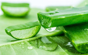 Aloe Vera Sweet Orange & Lemon Soothing Gel